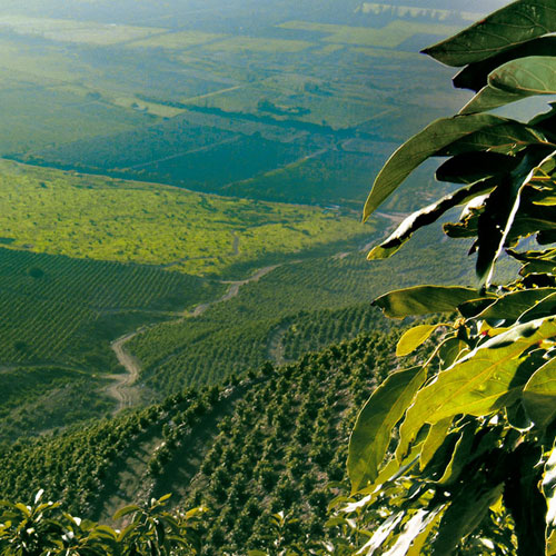 empresa-quienessomos