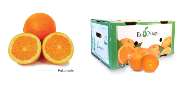 naranjas-img2