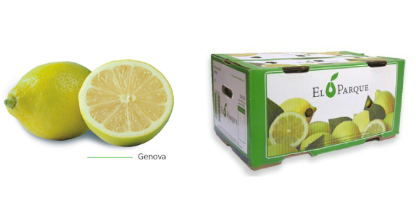 limones-img1